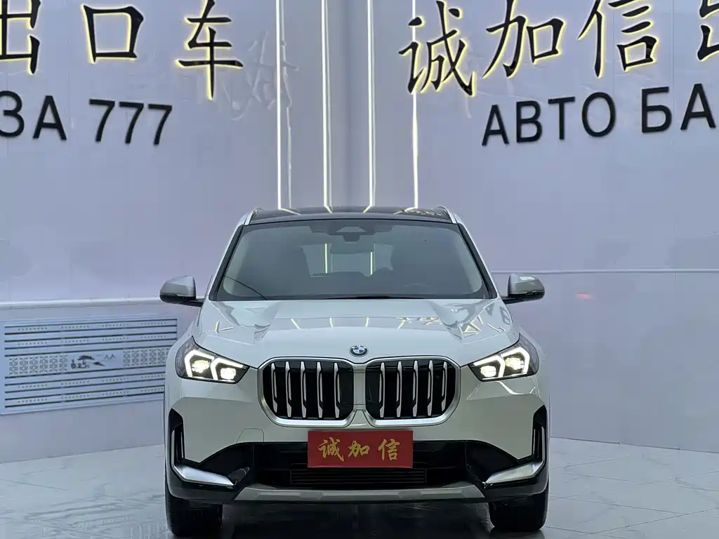 BMW X1 — миниатюра 2