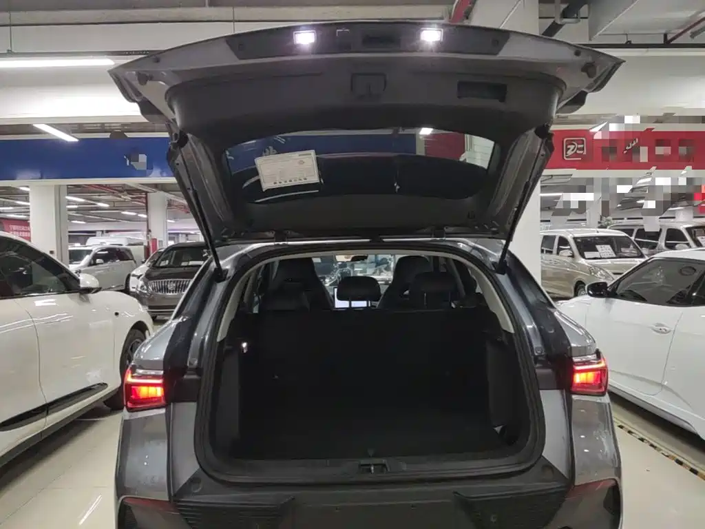 BYD Yuan Plus — миниатюра 19