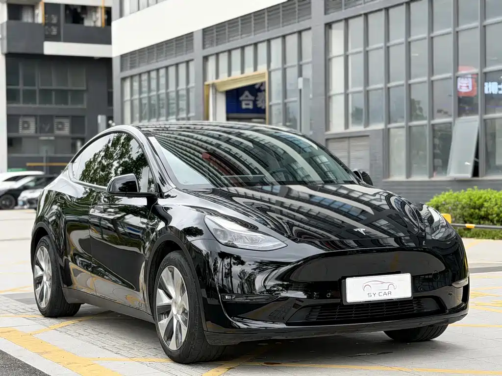 Tesla Model Y — миниатюра 3