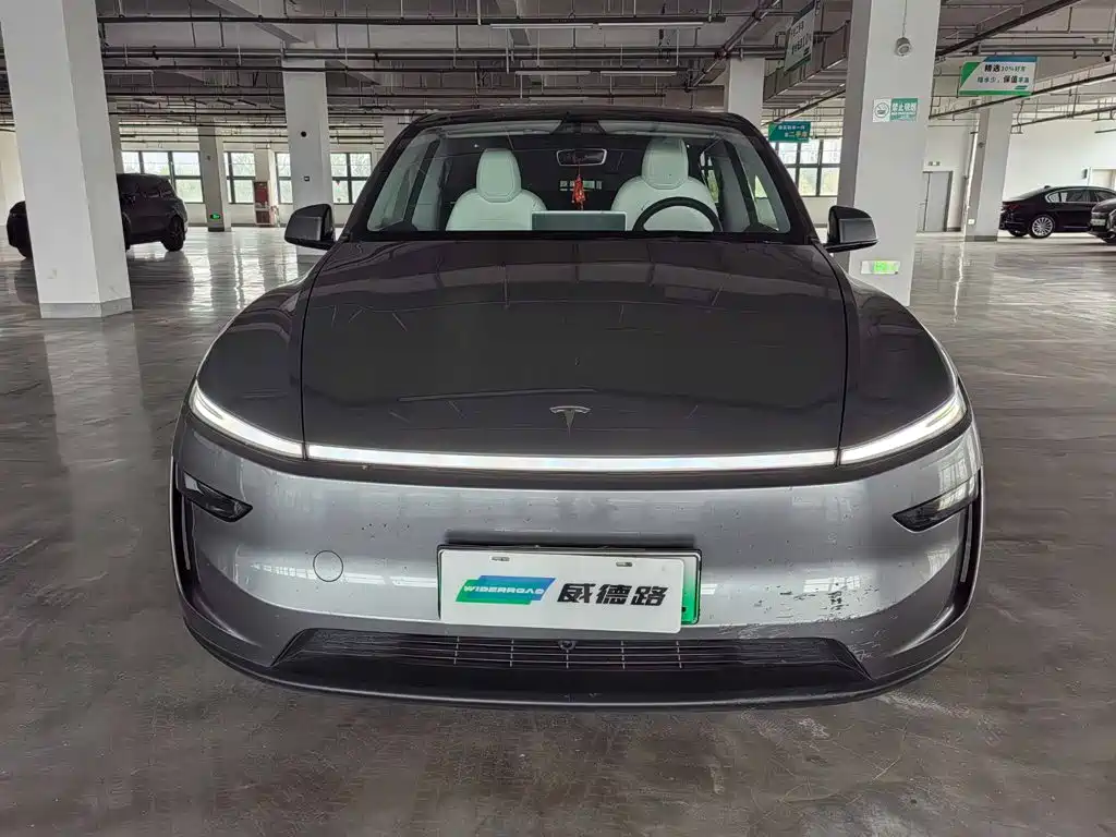 Tesla Model Y — миниатюра 2