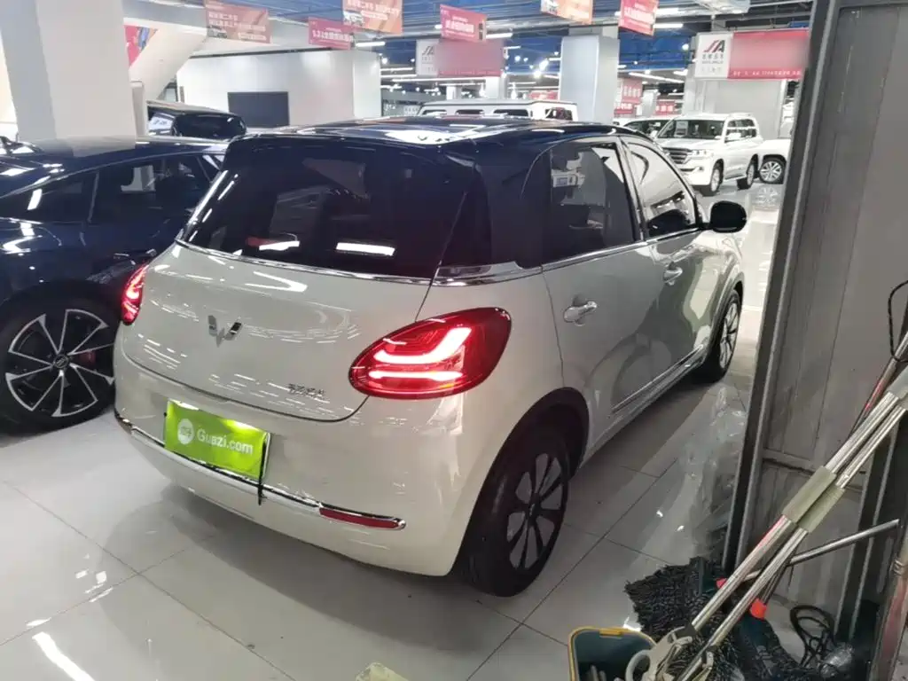 Wuling Binguo 2023 333km