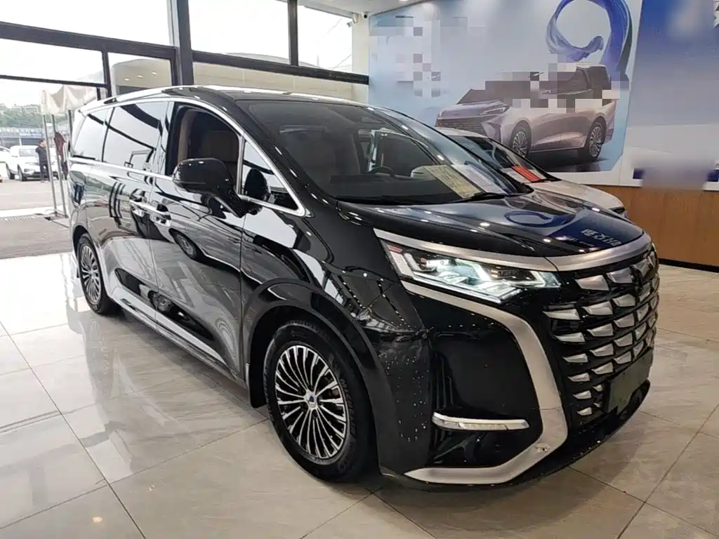 Denza Denza D9 — миниатюра 4