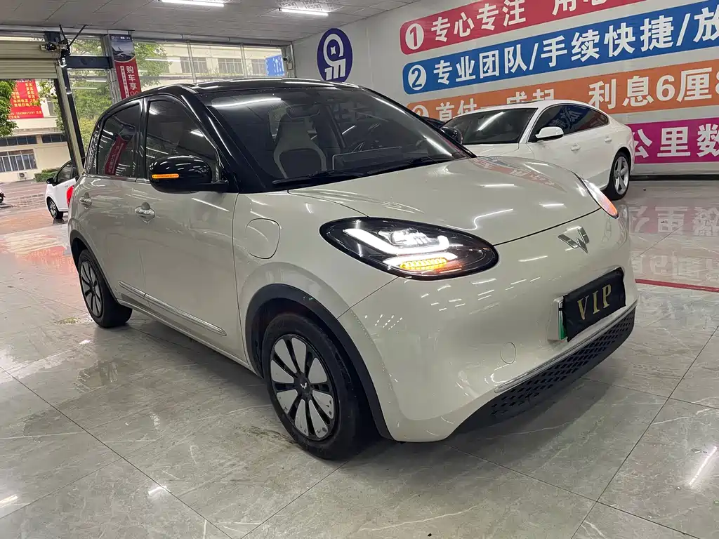 Wuling Binguo 2024 333km