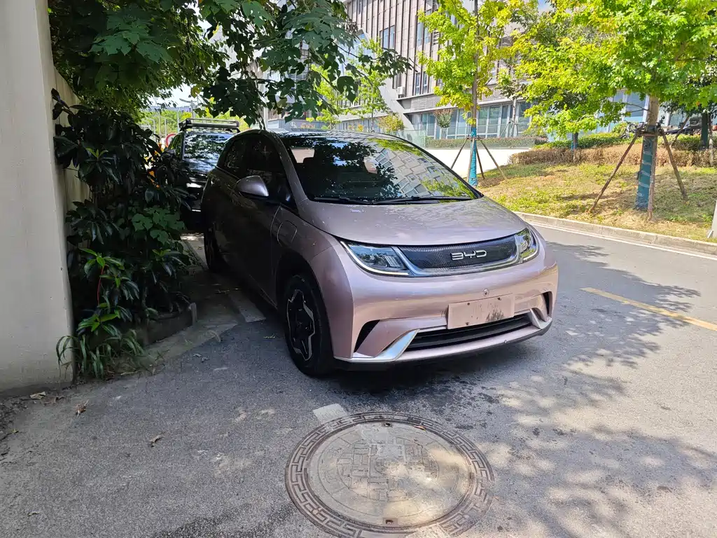 BYD Dolphin — миниатюра 3