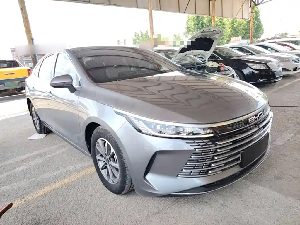BYD Destroyer 05 2024 DM-i 55KM Luxury