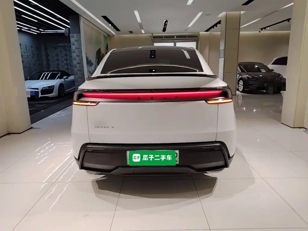 Tesla Model Y — миниатюра 6