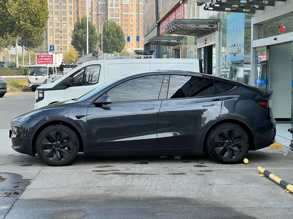 Tesla Model Y — миниатюра 4