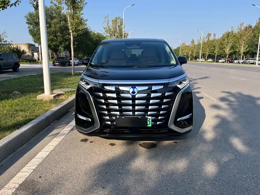 Denza Denza D9 — миниатюра 2