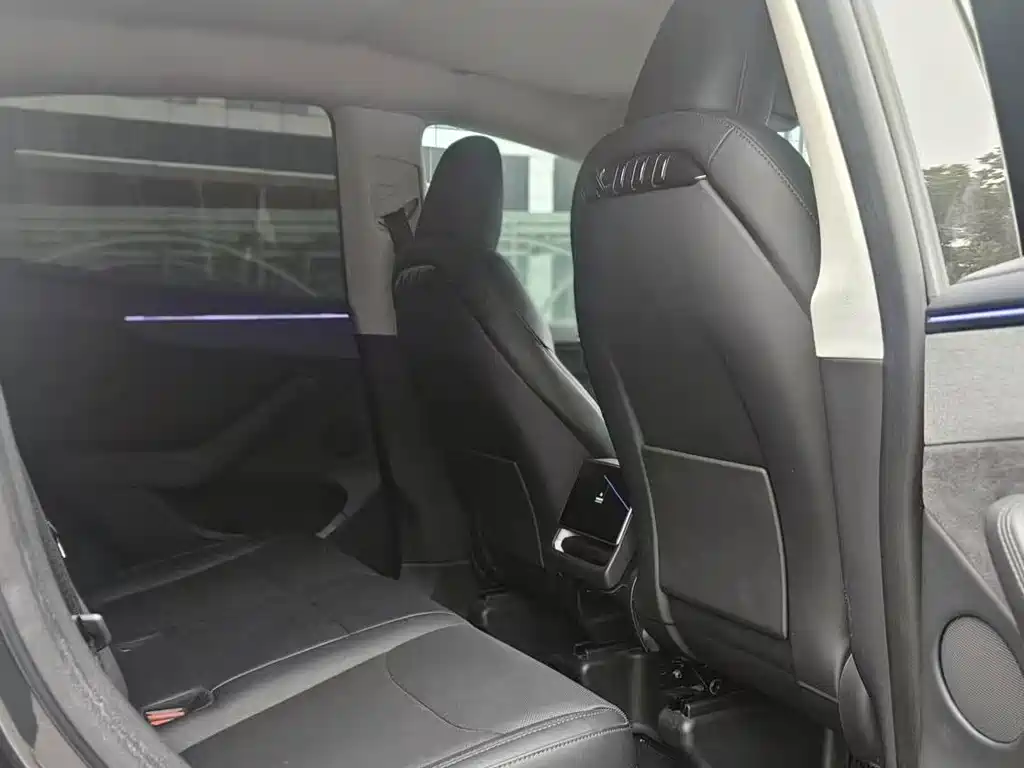 Tesla Model Y — миниатюра 11