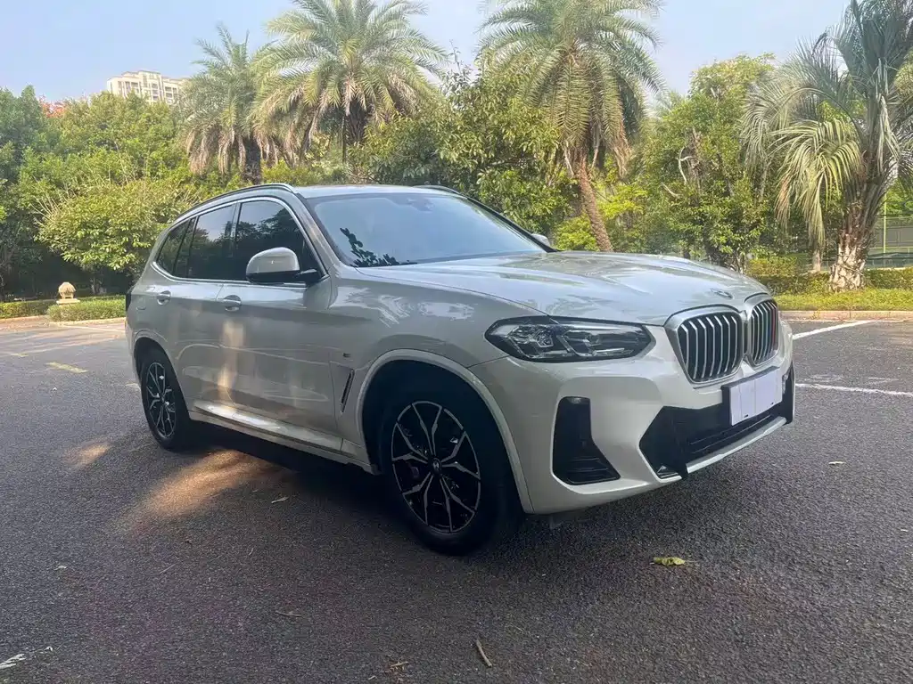 BMW X3 — миниатюра 2