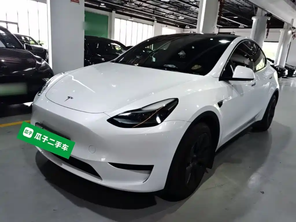 Tesla Model Y — миниатюра 2