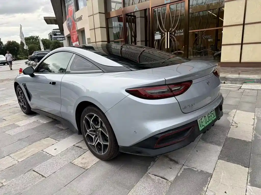 Neta Neta GT — миниатюра 6