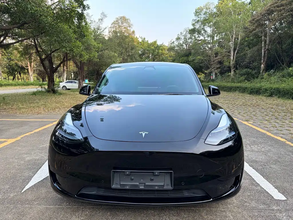 Tesla Model Y — миниатюра 2