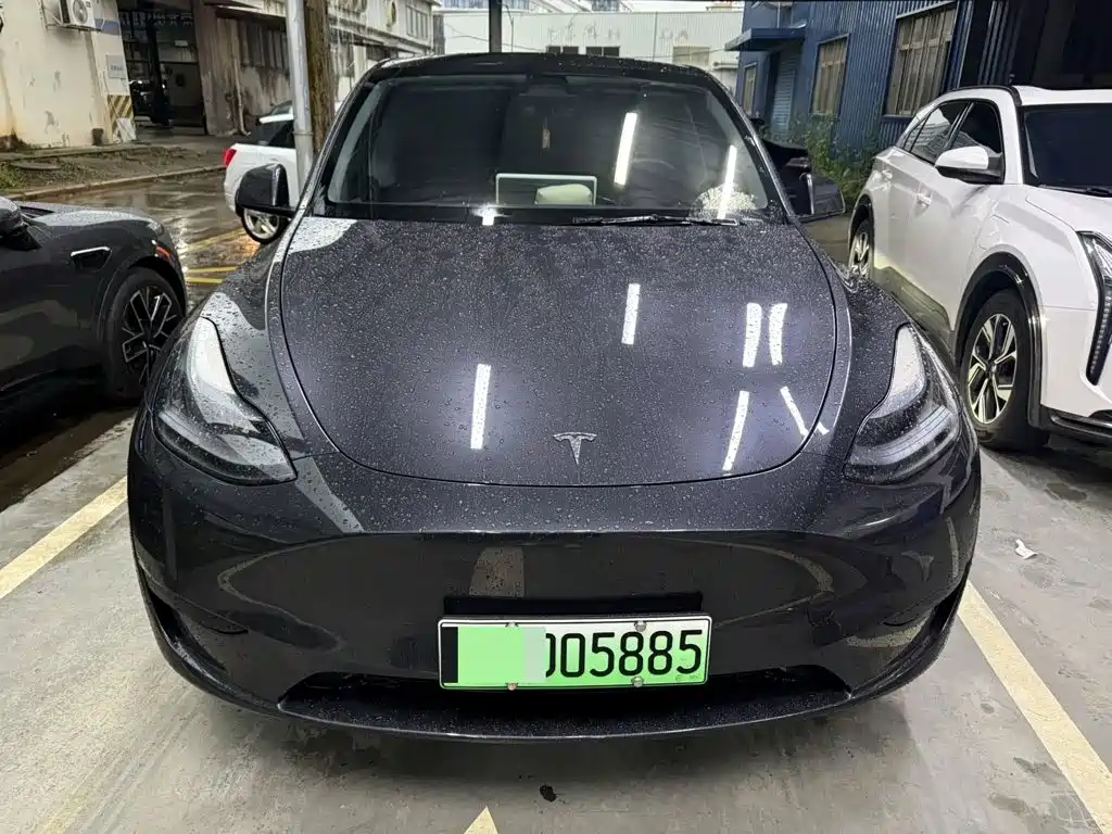 Tesla Model Y — миниатюра 2