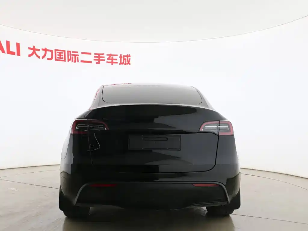 Tesla Model Y — миниатюра 8
