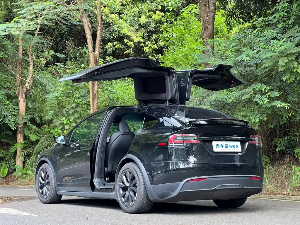 Tesla Model X — миниатюра 3