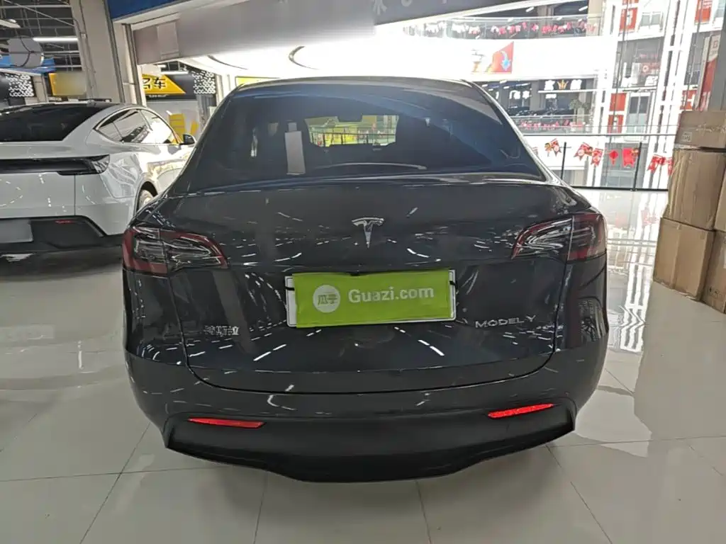 Tesla Model Y — миниатюра 6