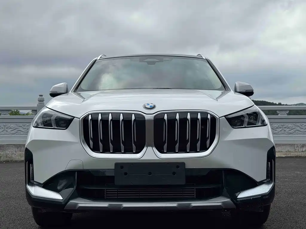 BMW X1 — миниатюра 2