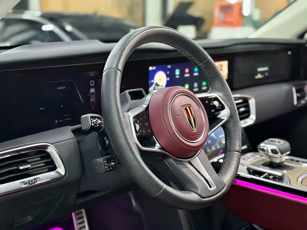 Hongqi E-HS9 2022 660km мест