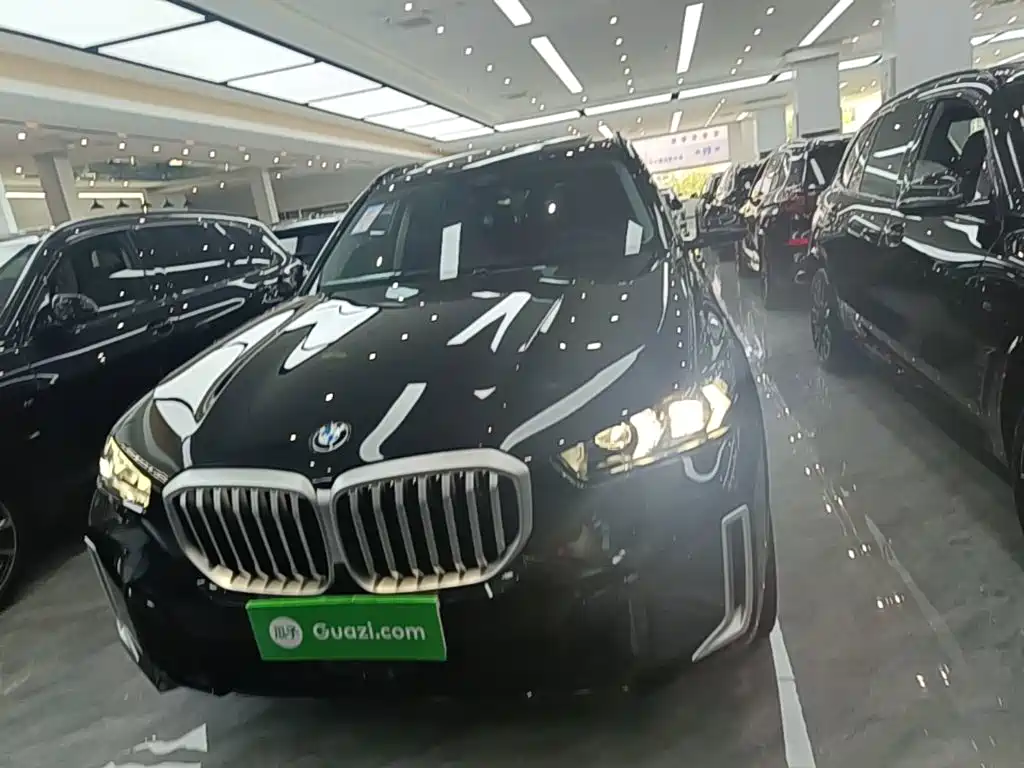 BMW X5 — миниатюра 3