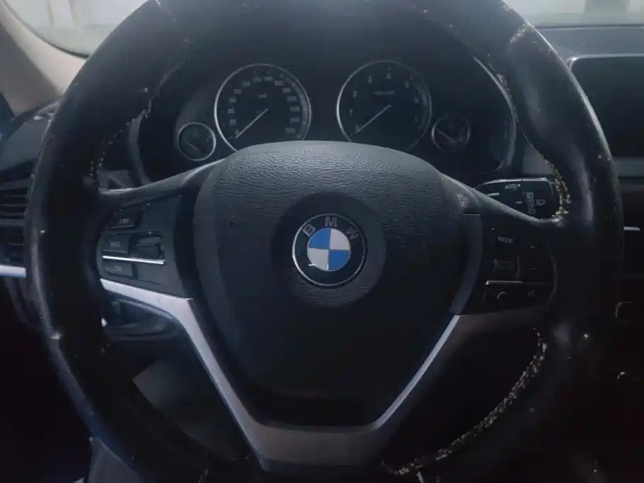 BMW X5 (Import) — миниатюра 15