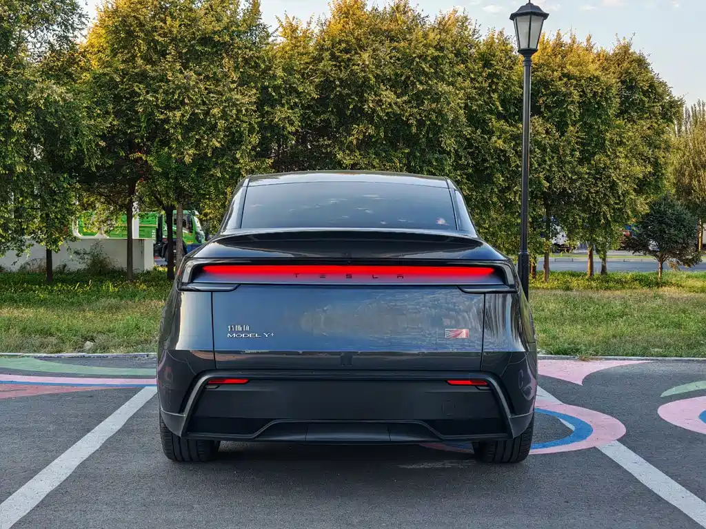 Tesla Model Y — миниатюра 5