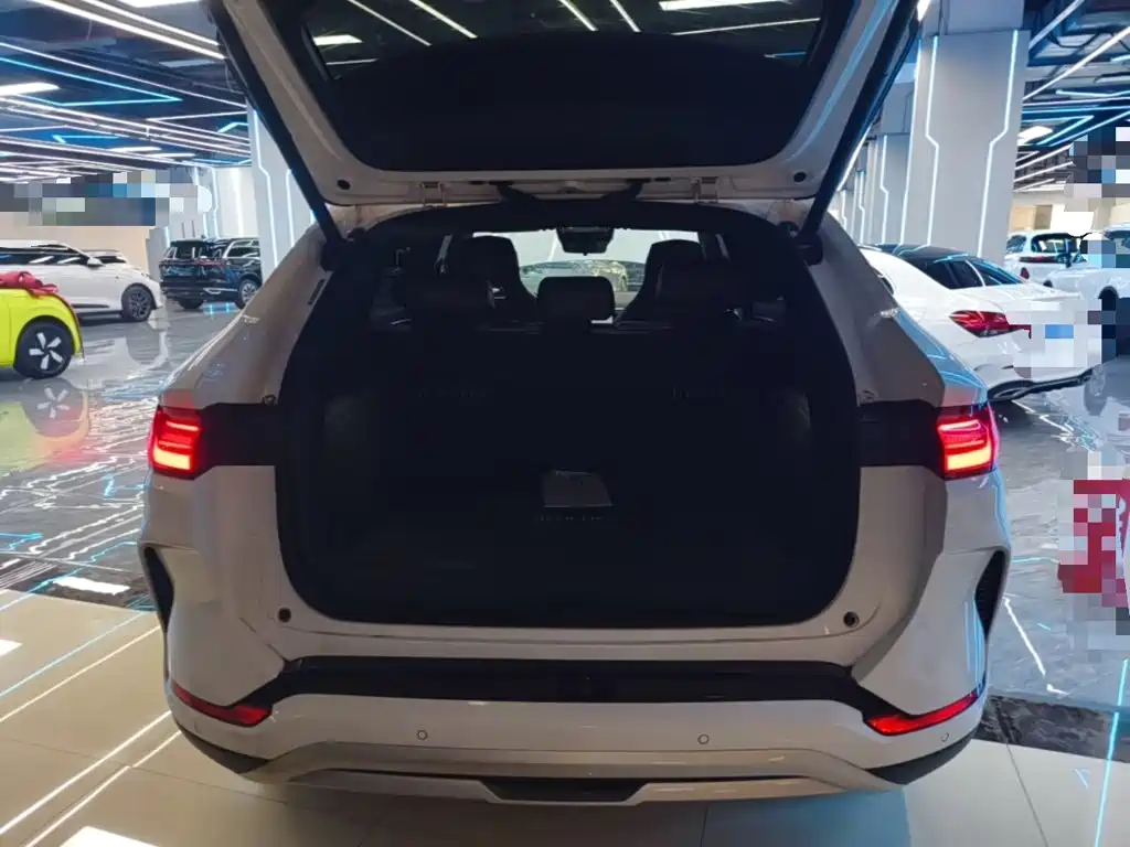 BYD PLUS New Energy — миниатюра 19