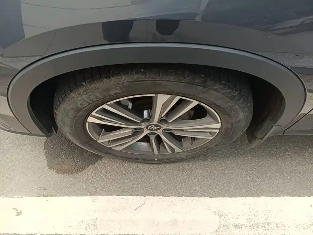 BYD Pro — миниатюра 23