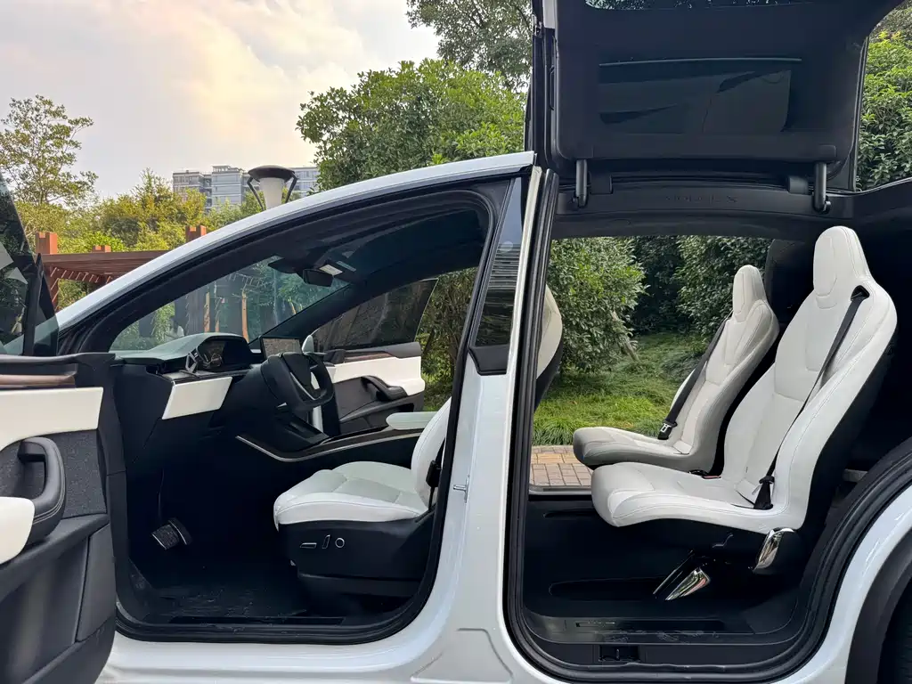 Tesla Model X — миниатюра 9