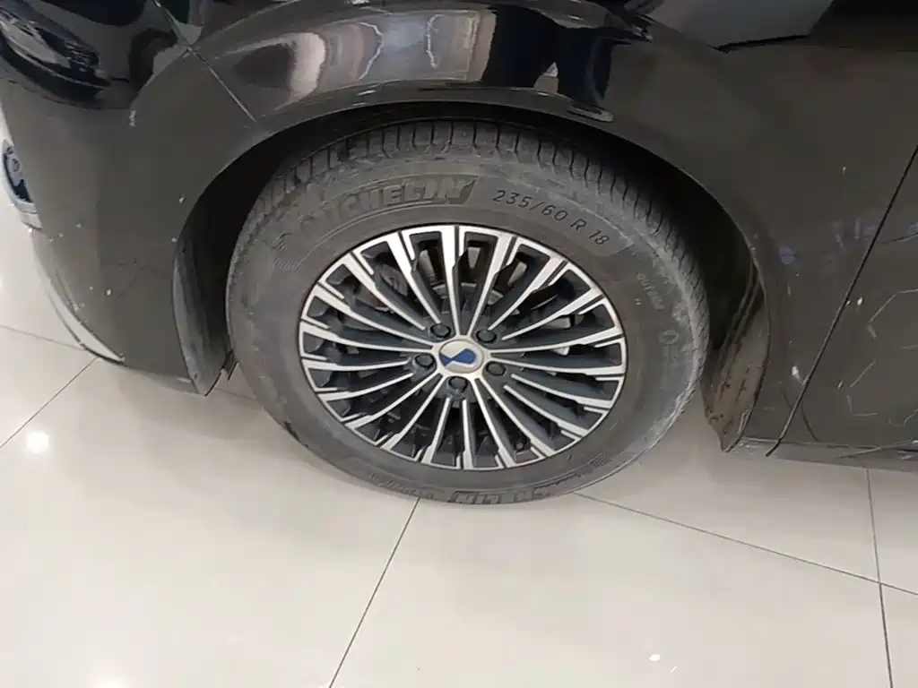 Denza Denza D9 — миниатюра 23