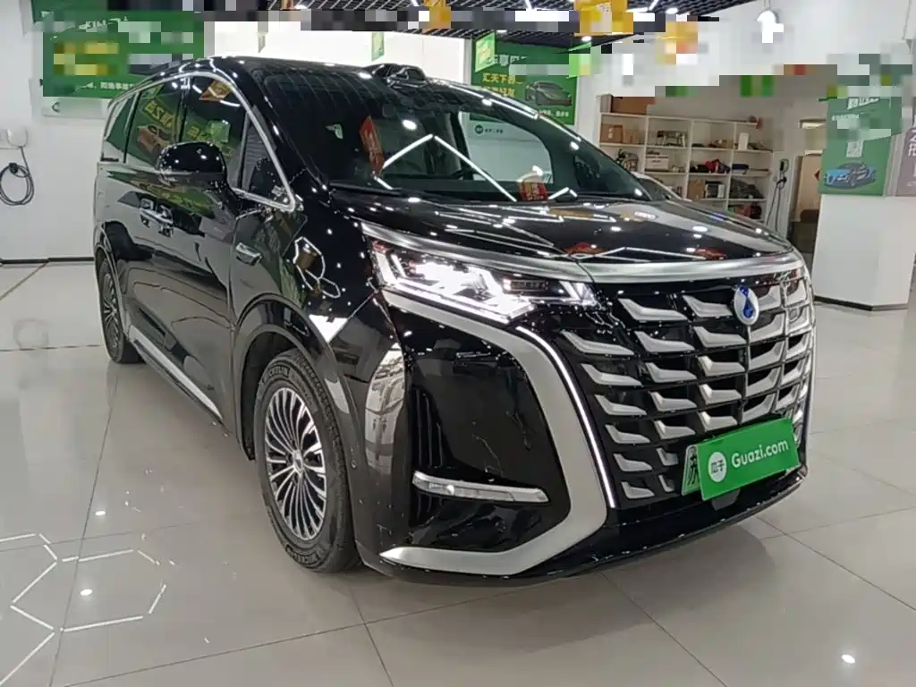 Denza Denza D9 — миниатюра 4