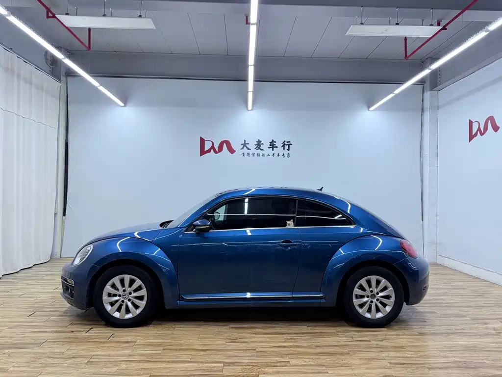 VOLKSWAGEN BEETLE