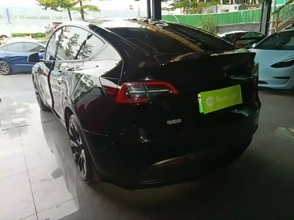 Tesla Model Y — миниатюра 5