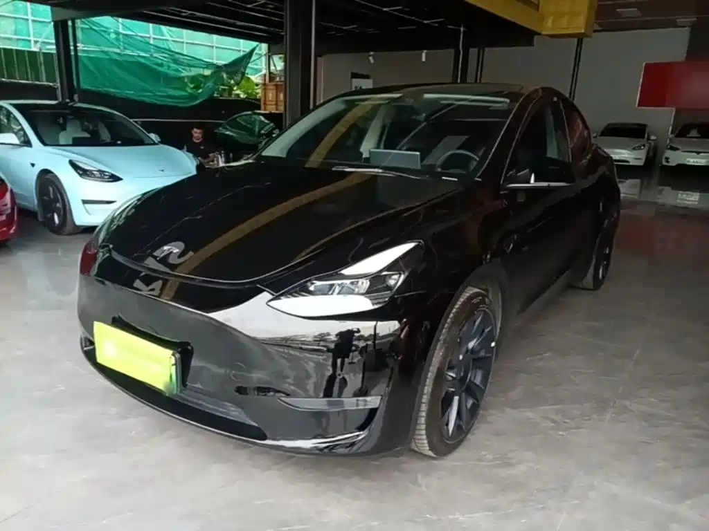 Tesla Model Y — миниатюра 2