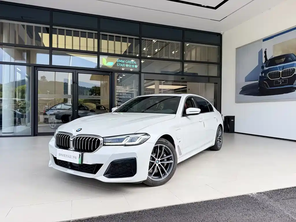 BMW 5 Series New Energy