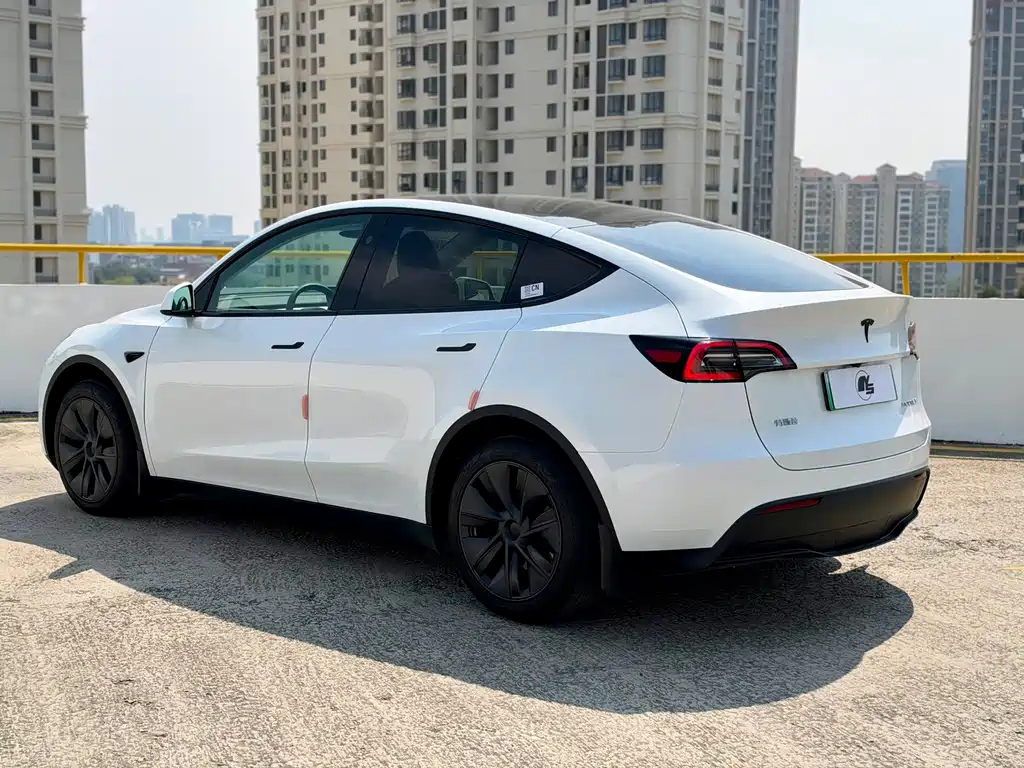 Tesla Model Y — миниатюра 4