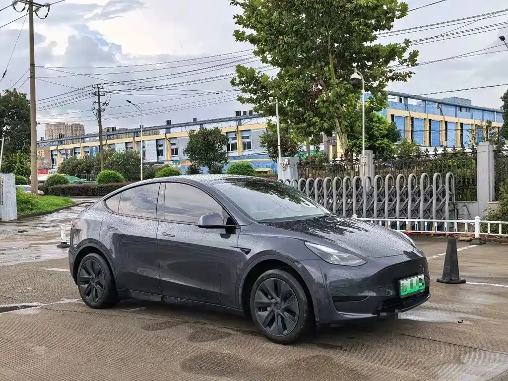 Tesla Model Y — миниатюра 3