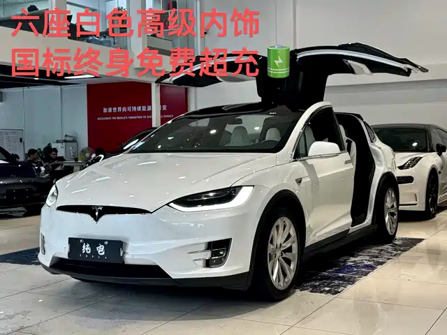 2018 Tesla Model X