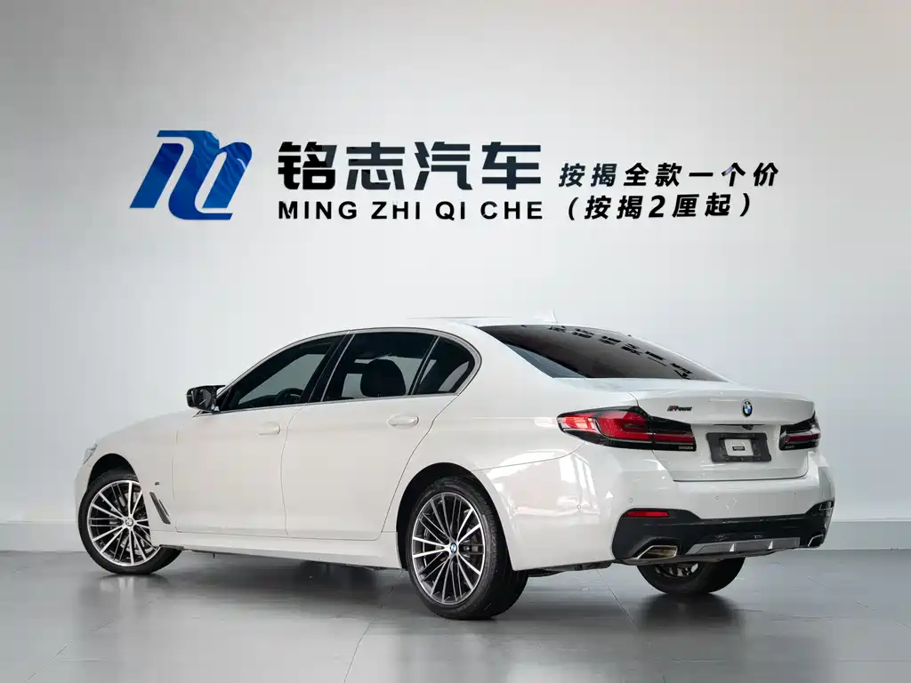 BMW 5 Series 530Li Leading Type M Sport Package, фото 5