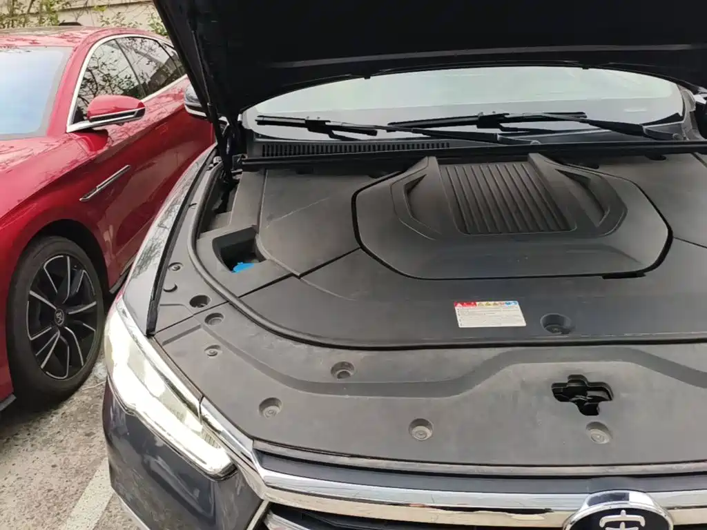 BYD Pro New Energy — миниатюра 19