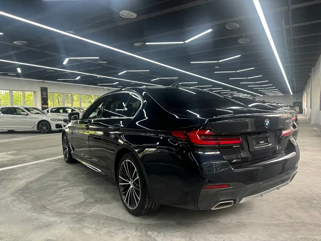 BMW 5 Series 5 2021 530Li xDrive M Sport