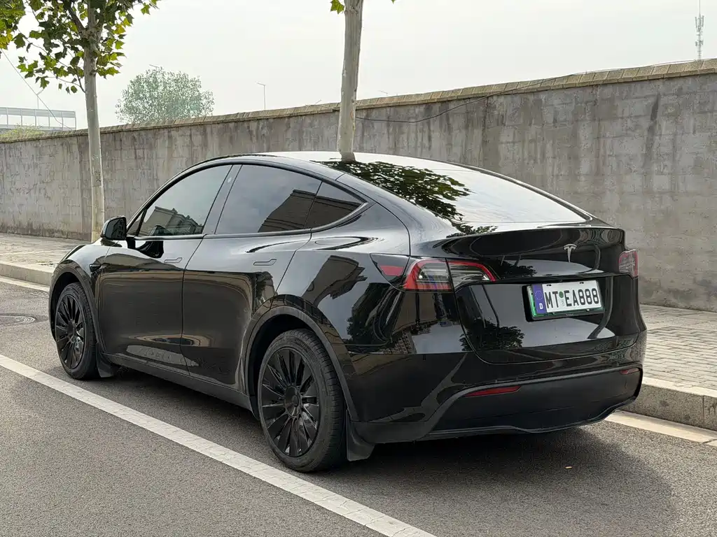 Tesla Model Y — миниатюра 3