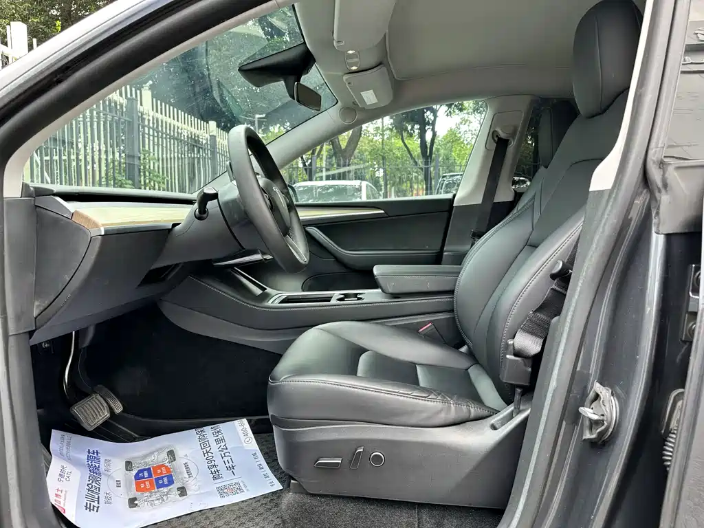Tesla Model Y — миниатюра 7