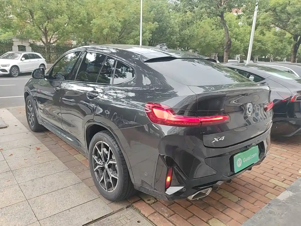 BMW X4 — миниатюра 5