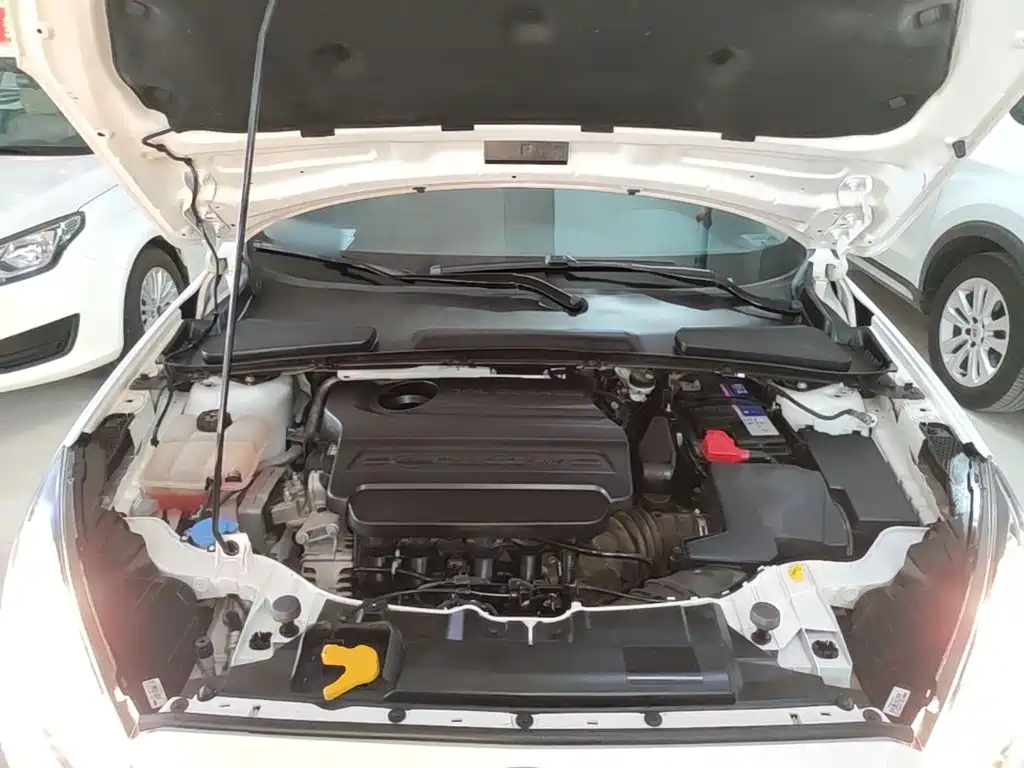 Ford Escort — миниатюра 20