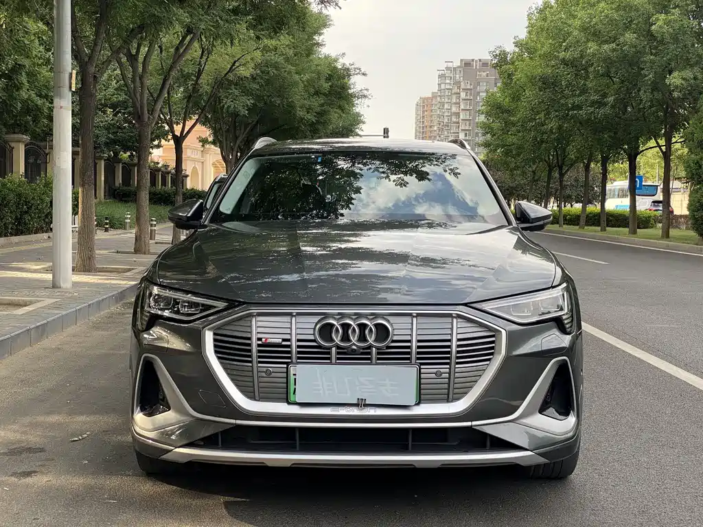 Audi e-tron 2021 50 quattro