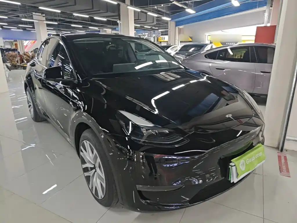 Tesla Model Y — миниатюра 4