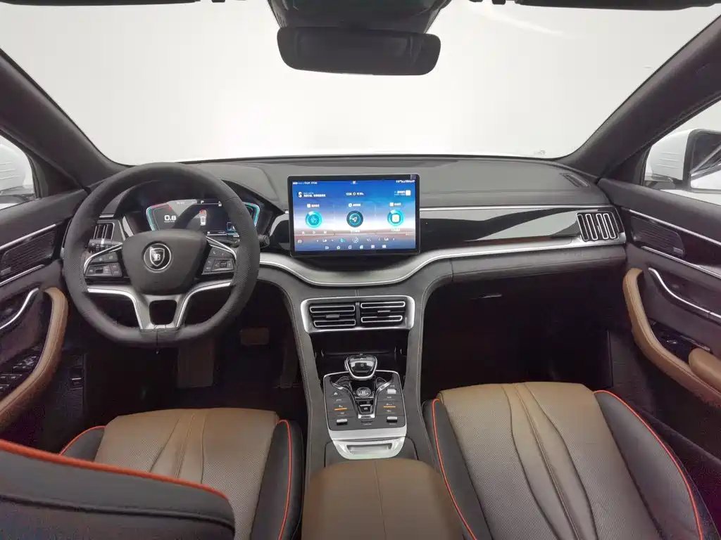 BYD PLUS — миниатюра 5