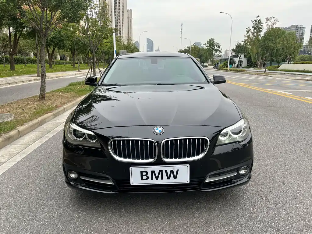 BMW 5 Series — миниатюра 2