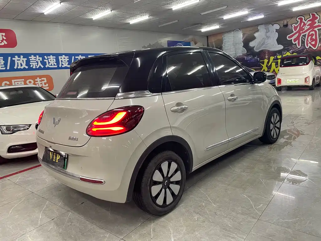 Wuling Binguo 2024 333km